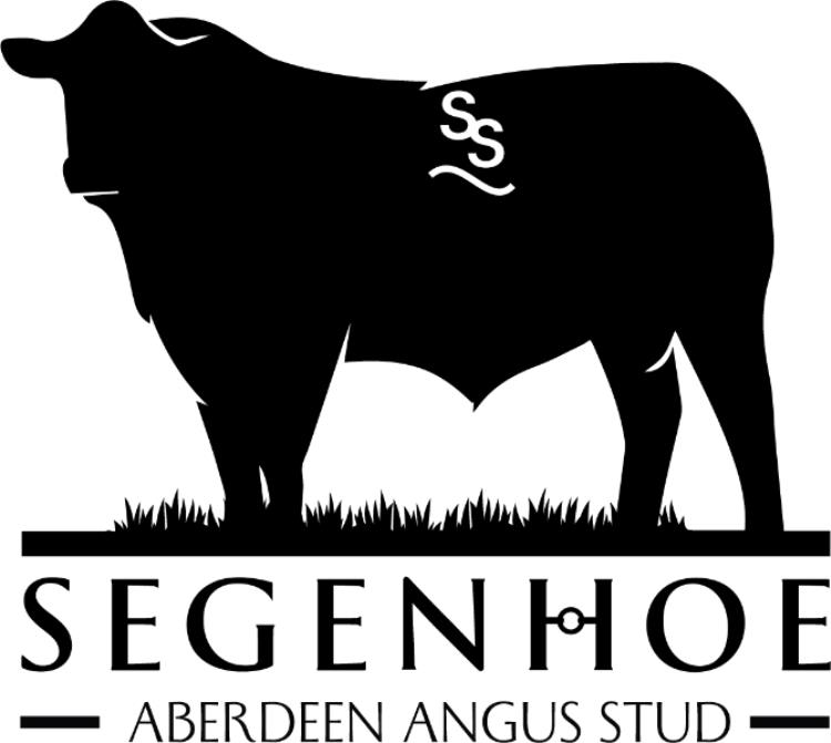 Segenhoe Aberdeen Angus Stud