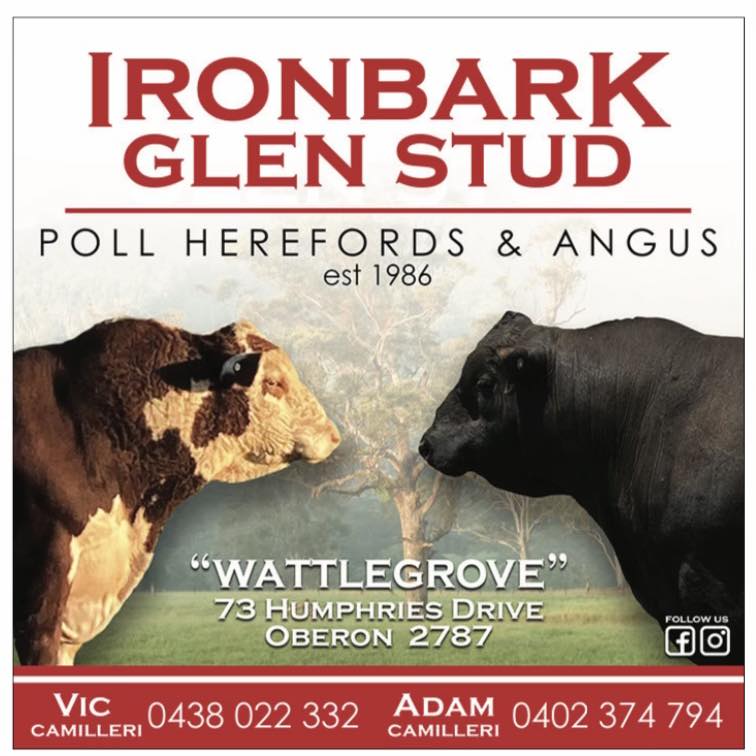 IRNOBARK GLEN STUD - Inspections