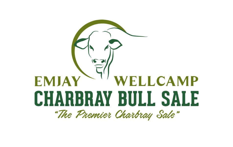 Emjay Charbray Bull Sale - Woolooga Sale Yards