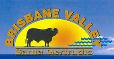 Brisbane Valley Santa Gertrudis Sale