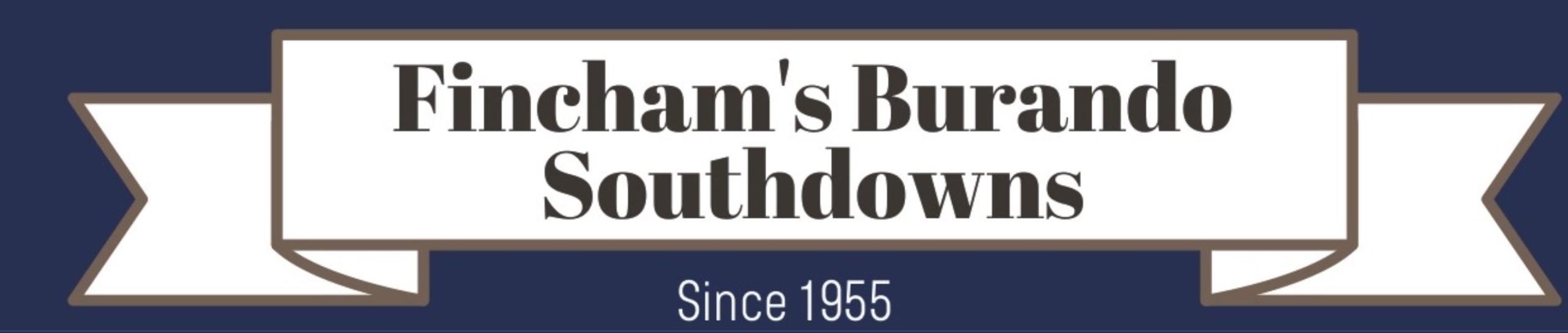 FINCHAM'S BURANDO SOUTHDOWNS - YEA Showgrounds - Sheep Pavillion