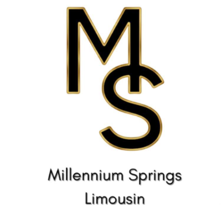 AuctionsPlus - Online Sale