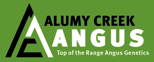 Alumy Creek Angus 'Coldawinda'