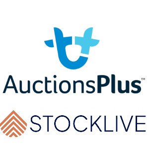 AuctionsPlus | StockLive
