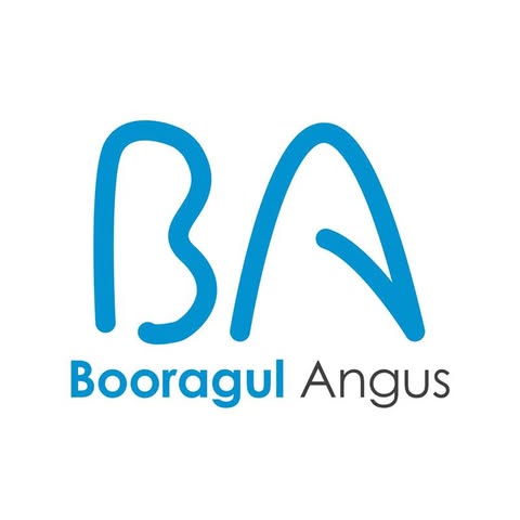 Booragul Angus “Downfield”