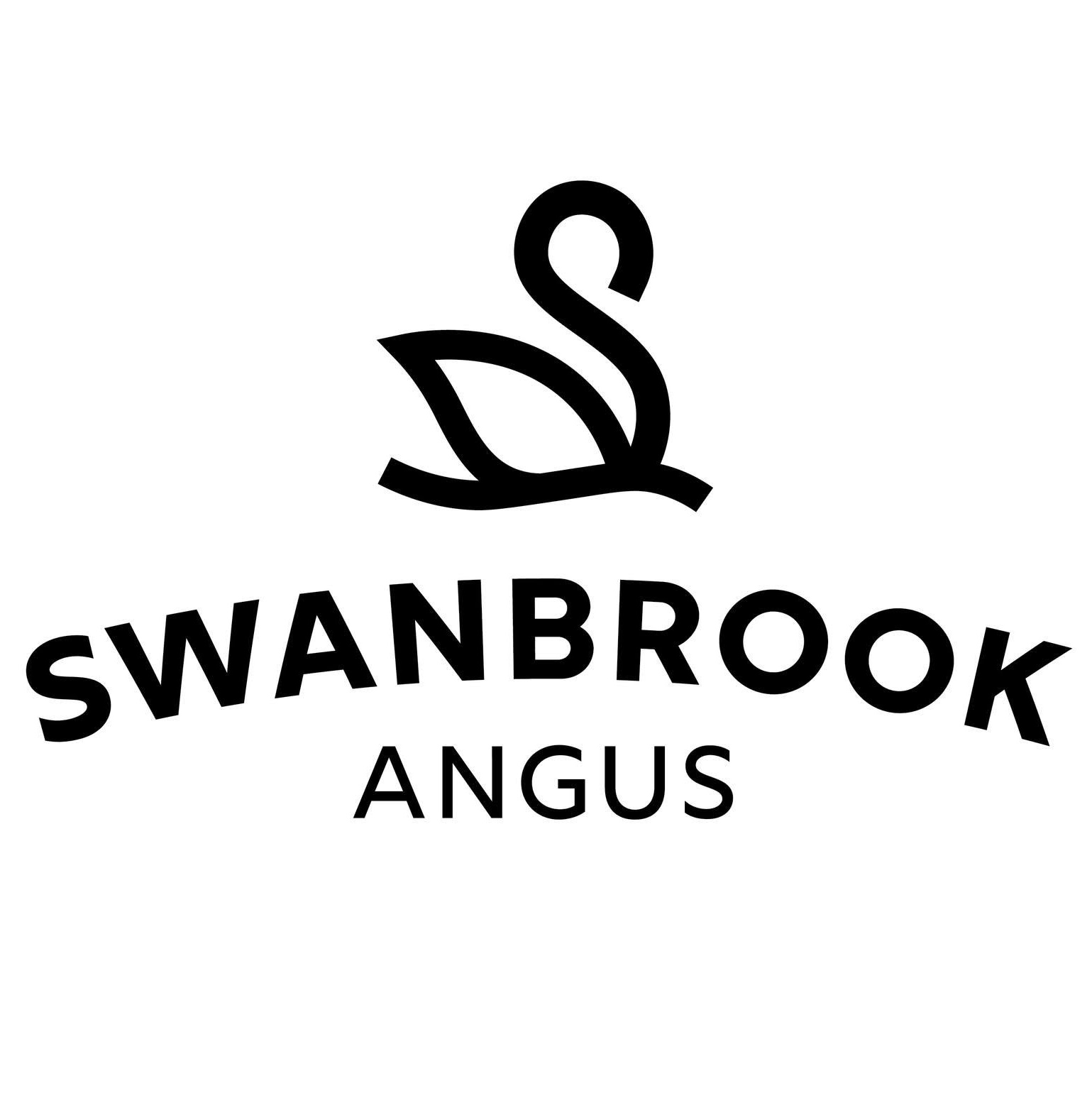 Swanbrook Angus